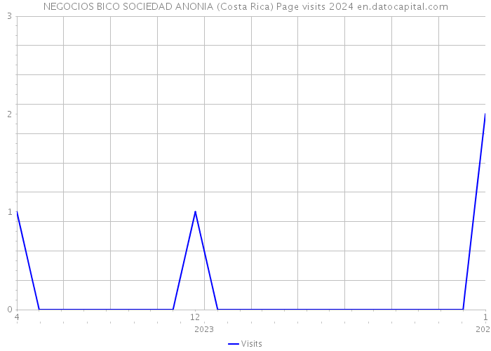 NEGOCIOS BICO SOCIEDAD ANONIA (Costa Rica) Page visits 2024 