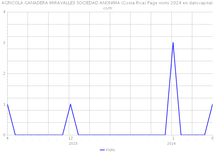 AGRICOLA GANADERA MIRAVALLES SOCIEDAD ANONIMA (Costa Rica) Page visits 2024 