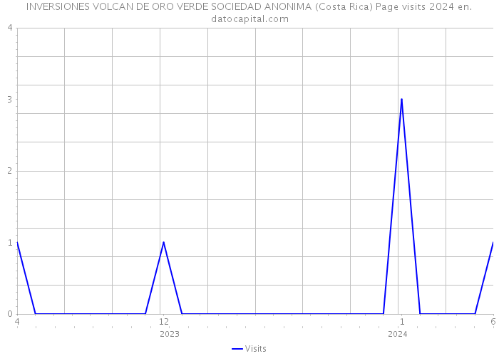 INVERSIONES VOLCAN DE ORO VERDE SOCIEDAD ANONIMA (Costa Rica) Page visits 2024 