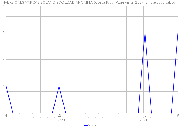 INVERSIONES VARGAS SOLANO SOCIEDAD ANONIMA (Costa Rica) Page visits 2024 