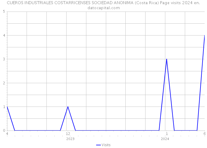 CUEROS INDUSTRIALES COSTARRICENSES SOCIEDAD ANONIMA (Costa Rica) Page visits 2024 