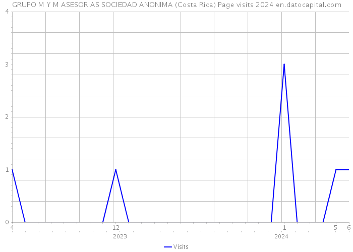 GRUPO M Y M ASESORIAS SOCIEDAD ANONIMA (Costa Rica) Page visits 2024 