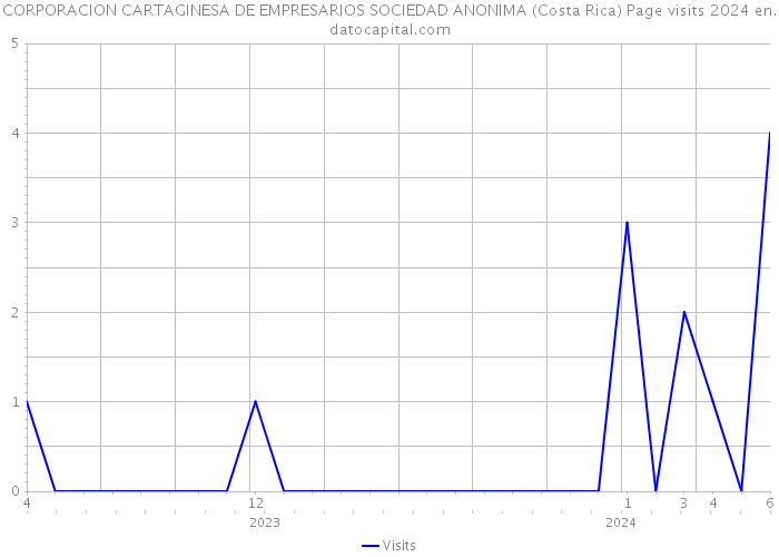 CORPORACION CARTAGINESA DE EMPRESARIOS SOCIEDAD ANONIMA (Costa Rica) Page visits 2024 