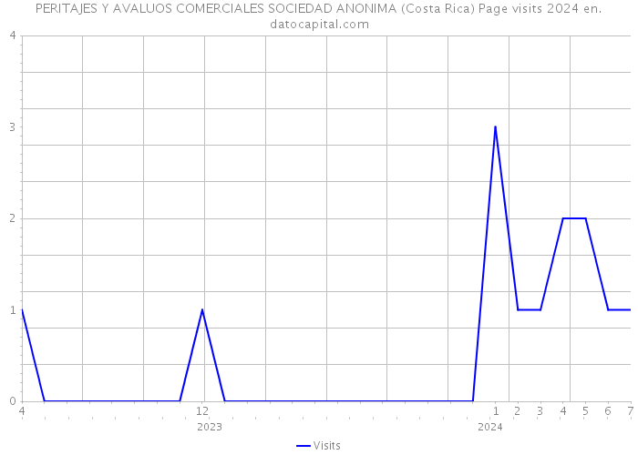 PERITAJES Y AVALUOS COMERCIALES SOCIEDAD ANONIMA (Costa Rica) Page visits 2024 