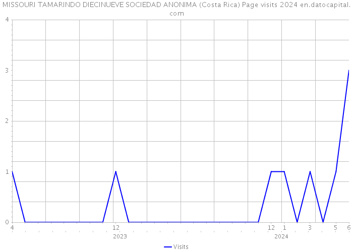 MISSOURI TAMARINDO DIECINUEVE SOCIEDAD ANONIMA (Costa Rica) Page visits 2024 