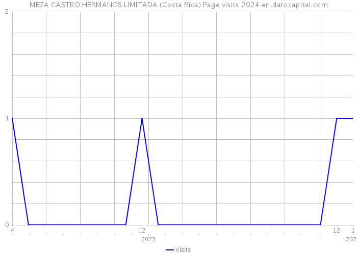 MEZA CASTRO HERMANOS LIMITADA (Costa Rica) Page visits 2024 