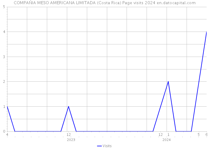 COMPAŃIA MESO AMERICANA LIMITADA (Costa Rica) Page visits 2024 