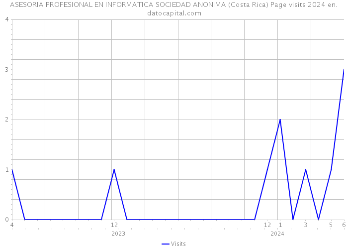 ASESORIA PROFESIONAL EN INFORMATICA SOCIEDAD ANONIMA (Costa Rica) Page visits 2024 