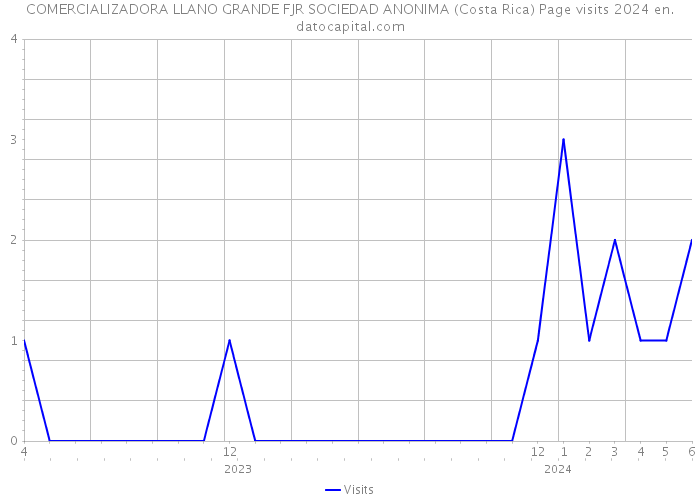 COMERCIALIZADORA LLANO GRANDE FJR SOCIEDAD ANONIMA (Costa Rica) Page visits 2024 