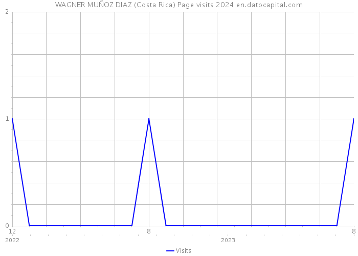 WAGNER MUÑOZ DIAZ (Costa Rica) Page visits 2024 