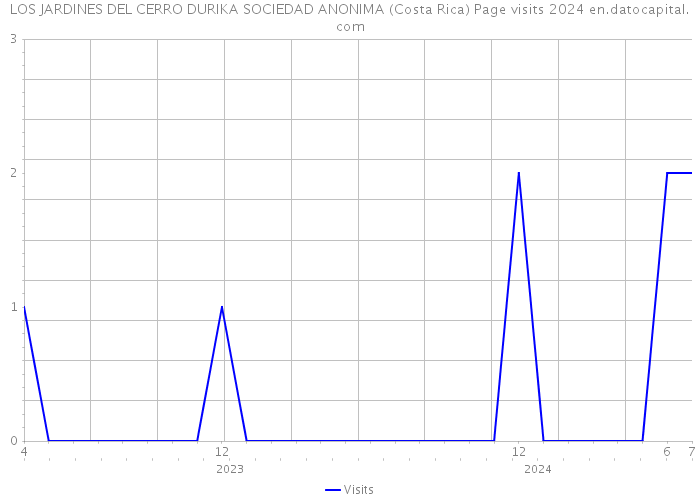 LOS JARDINES DEL CERRO DURIKA SOCIEDAD ANONIMA (Costa Rica) Page visits 2024 