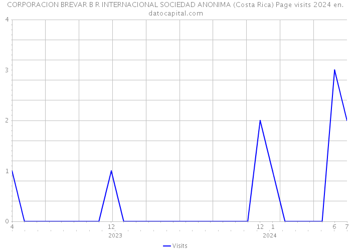 CORPORACION BREVAR B R INTERNACIONAL SOCIEDAD ANONIMA (Costa Rica) Page visits 2024 