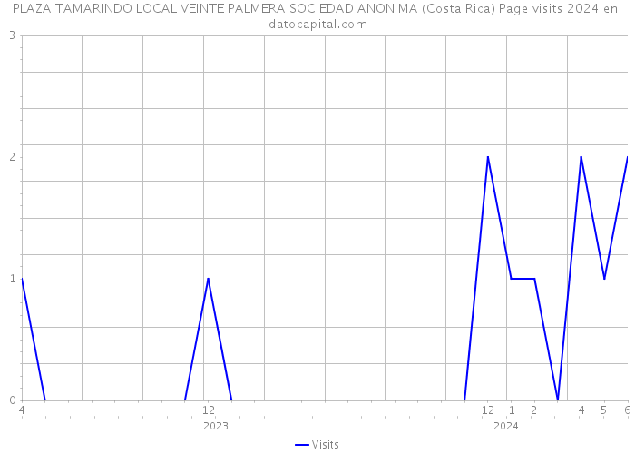 PLAZA TAMARINDO LOCAL VEINTE PALMERA SOCIEDAD ANONIMA (Costa Rica) Page visits 2024 
