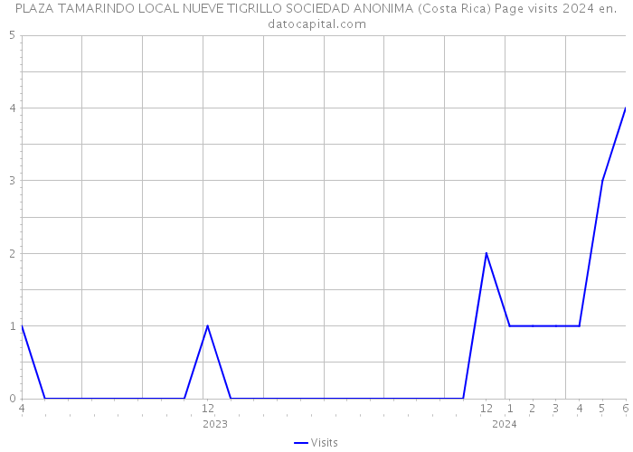 PLAZA TAMARINDO LOCAL NUEVE TIGRILLO SOCIEDAD ANONIMA (Costa Rica) Page visits 2024 