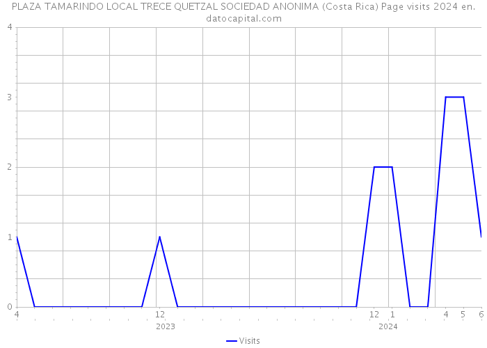 PLAZA TAMARINDO LOCAL TRECE QUETZAL SOCIEDAD ANONIMA (Costa Rica) Page visits 2024 