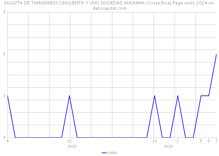 SAGGITA DE TAMARINDO CINCUENTA Y UNO SOCIEDAD ANONIMA (Costa Rica) Page visits 2024 