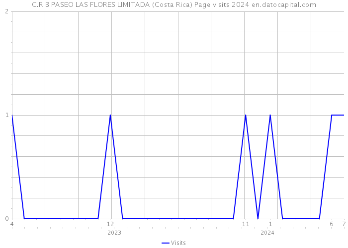 C.R.B PASEO LAS FLORES LIMITADA (Costa Rica) Page visits 2024 