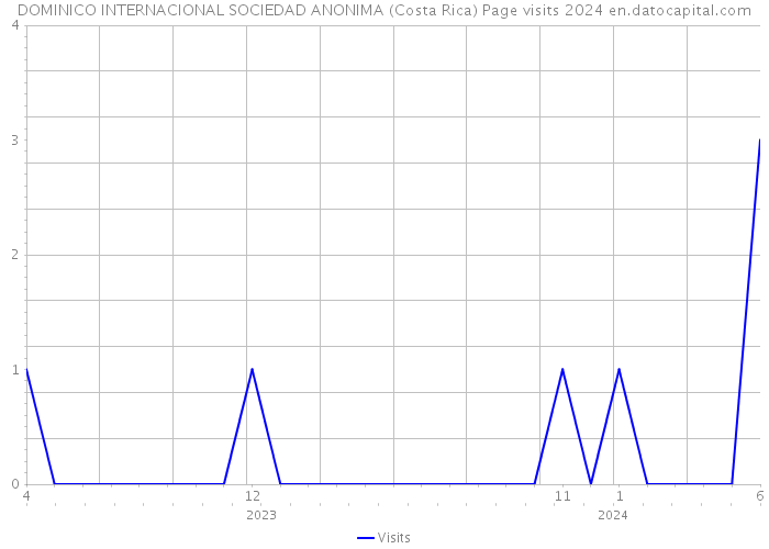 DOMINICO INTERNACIONAL SOCIEDAD ANONIMA (Costa Rica) Page visits 2024 