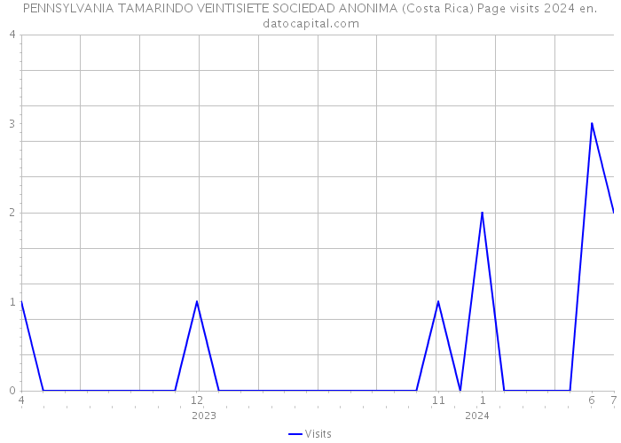 PENNSYLVANIA TAMARINDO VEINTISIETE SOCIEDAD ANONIMA (Costa Rica) Page visits 2024 