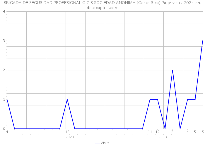 BRIGADA DE SEGURIDAD PROFESIONAL C G B SOCIEDAD ANONIMA (Costa Rica) Page visits 2024 