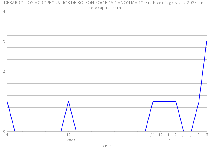 DESARROLLOS AGROPECUARIOS DE BOLSON SOCIEDAD ANONIMA (Costa Rica) Page visits 2024 