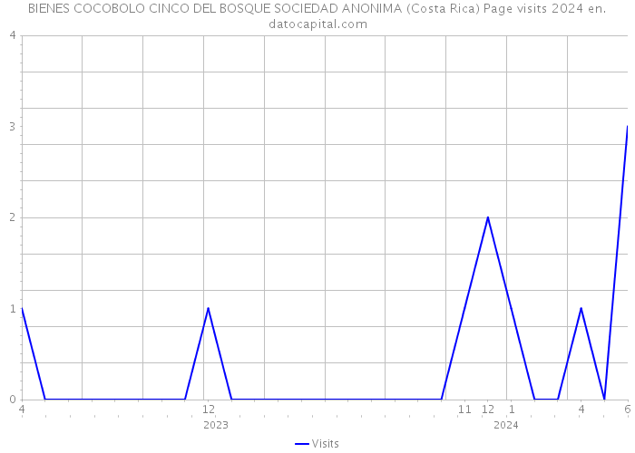 BIENES COCOBOLO CINCO DEL BOSQUE SOCIEDAD ANONIMA (Costa Rica) Page visits 2024 