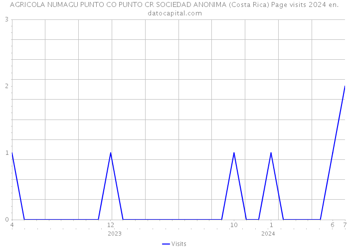 AGRICOLA NUMAGU PUNTO CO PUNTO CR SOCIEDAD ANONIMA (Costa Rica) Page visits 2024 