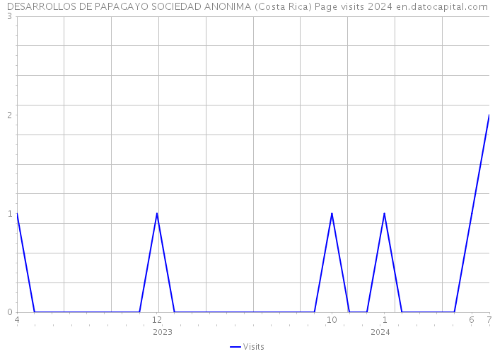 DESARROLLOS DE PAPAGAYO SOCIEDAD ANONIMA (Costa Rica) Page visits 2024 