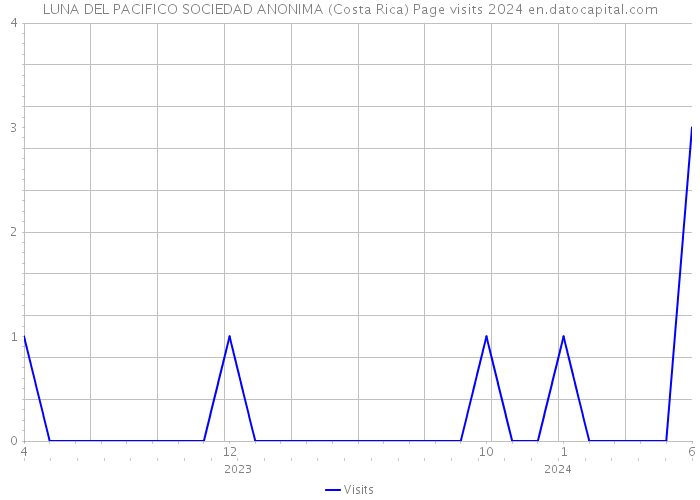 LUNA DEL PACIFICO SOCIEDAD ANONIMA (Costa Rica) Page visits 2024 