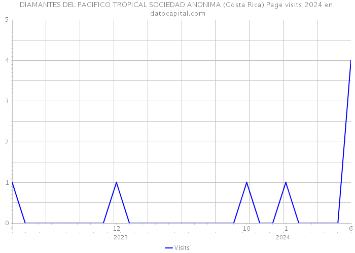 DIAMANTES DEL PACIFICO TROPICAL SOCIEDAD ANONIMA (Costa Rica) Page visits 2024 