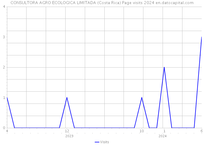 CONSULTORA AGRO ECOLOGICA LIMITADA (Costa Rica) Page visits 2024 