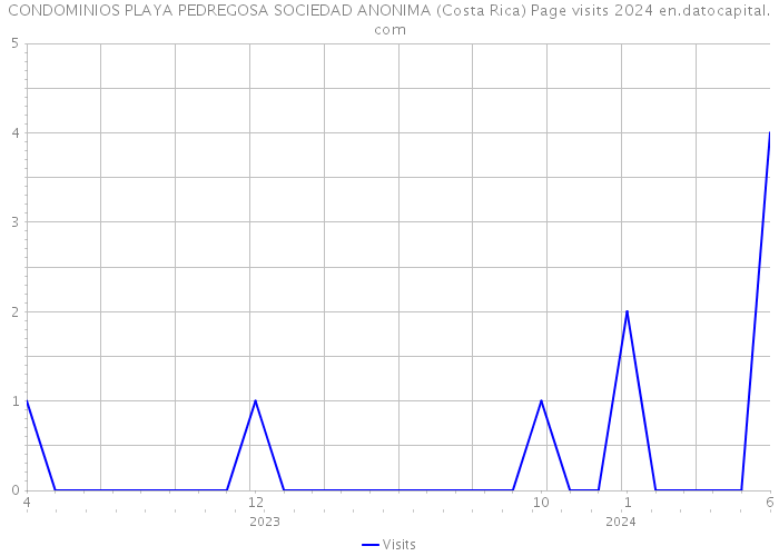 CONDOMINIOS PLAYA PEDREGOSA SOCIEDAD ANONIMA (Costa Rica) Page visits 2024 