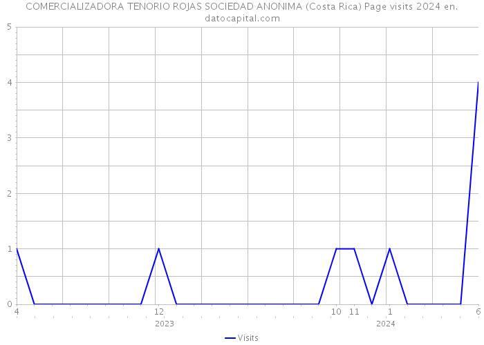 COMERCIALIZADORA TENORIO ROJAS SOCIEDAD ANONIMA (Costa Rica) Page visits 2024 