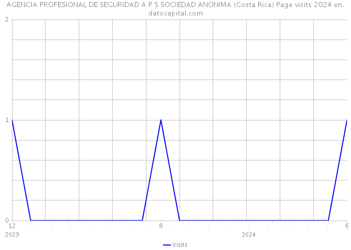 AGENCIA PROFESIONAL DE SEGURIDAD A P S SOCIEDAD ANONIMA (Costa Rica) Page visits 2024 