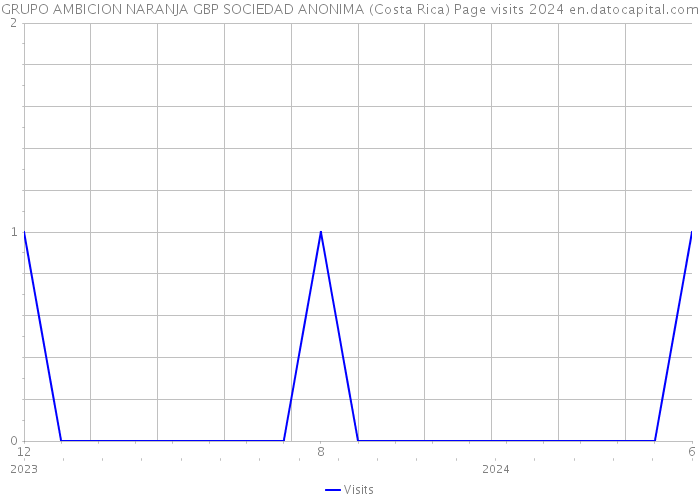 GRUPO AMBICION NARANJA GBP SOCIEDAD ANONIMA (Costa Rica) Page visits 2024 