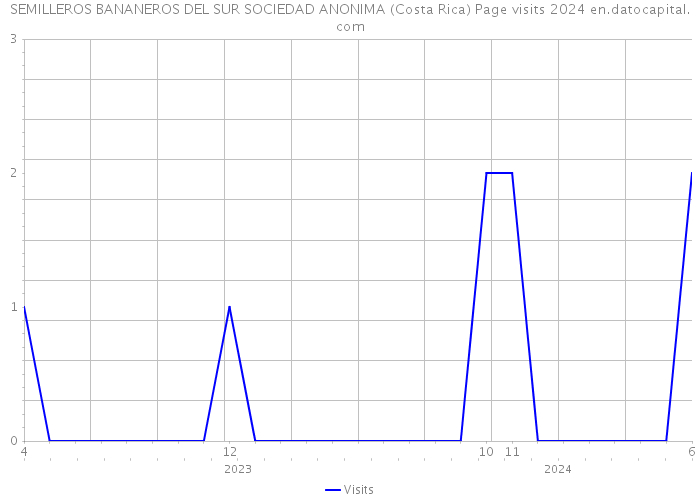 SEMILLEROS BANANEROS DEL SUR SOCIEDAD ANONIMA (Costa Rica) Page visits 2024 