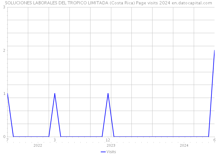 SOLUCIONES LABORALES DEL TROPICO LIMITADA (Costa Rica) Page visits 2024 