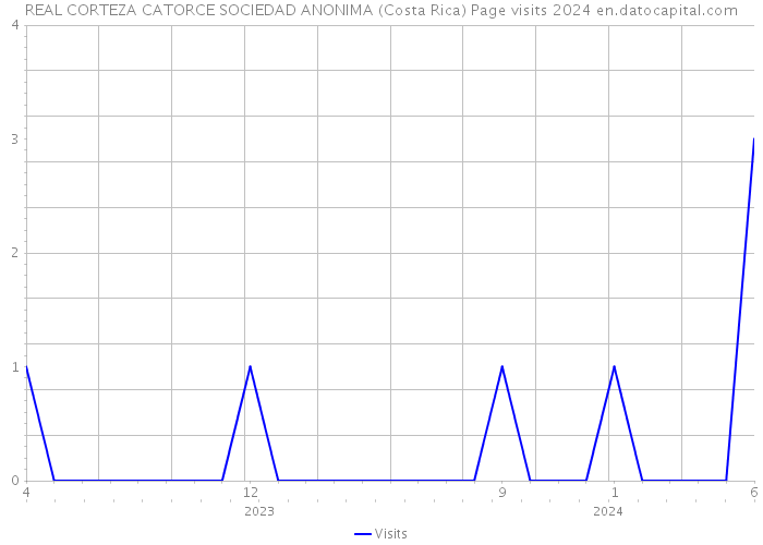 REAL CORTEZA CATORCE SOCIEDAD ANONIMA (Costa Rica) Page visits 2024 