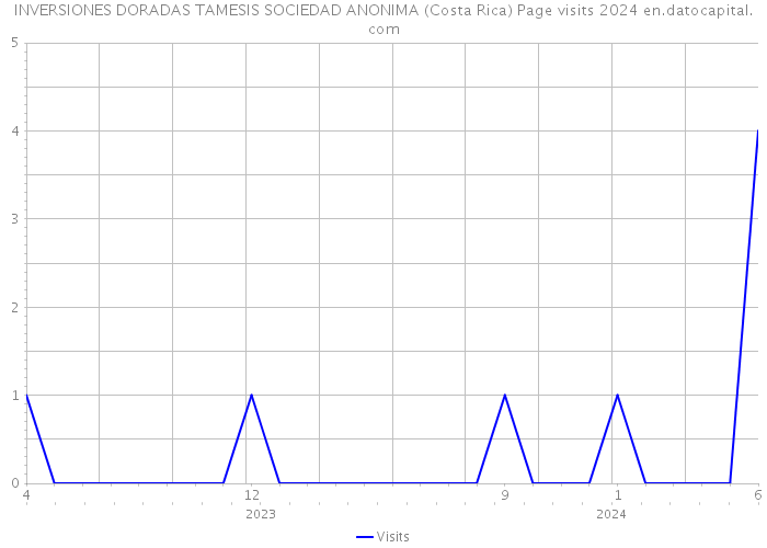 INVERSIONES DORADAS TAMESIS SOCIEDAD ANONIMA (Costa Rica) Page visits 2024 