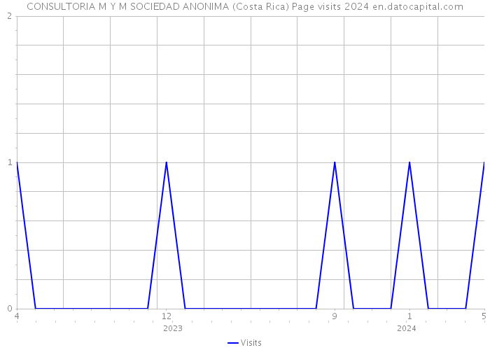 CONSULTORIA M Y M SOCIEDAD ANONIMA (Costa Rica) Page visits 2024 