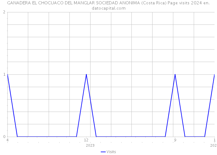 GANADERA EL CHOCUACO DEL MANGLAR SOCIEDAD ANONIMA (Costa Rica) Page visits 2024 