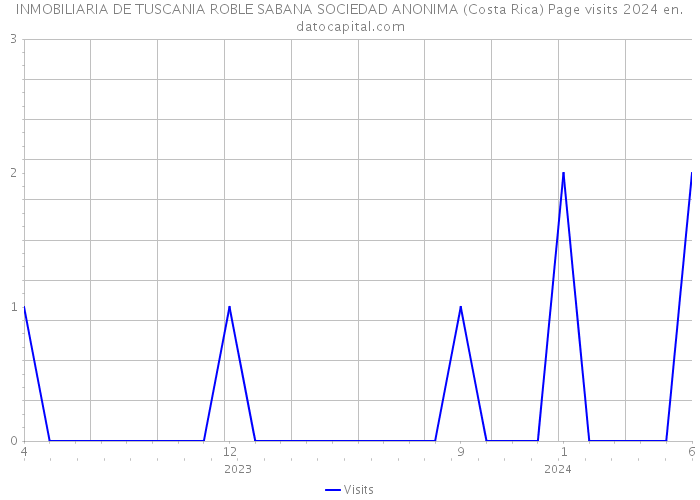 INMOBILIARIA DE TUSCANIA ROBLE SABANA SOCIEDAD ANONIMA (Costa Rica) Page visits 2024 