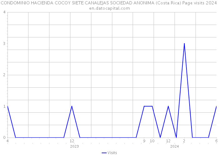 CONDOMINIO HACIENDA COCOY SIETE CANALEJAS SOCIEDAD ANONIMA (Costa Rica) Page visits 2024 