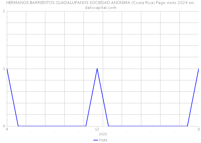 HERMANOS BARRIENTOS GUADALUPANOS SOCIEDAD ANONIMA (Costa Rica) Page visits 2024 