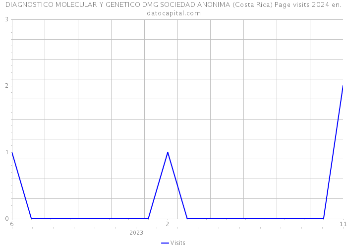 DIAGNOSTICO MOLECULAR Y GENETICO DMG SOCIEDAD ANONIMA (Costa Rica) Page visits 2024 