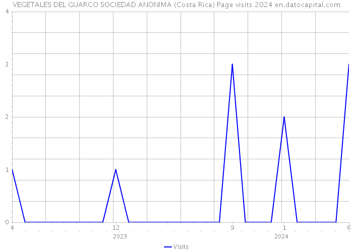 VEGETALES DEL GUARCO SOCIEDAD ANONIMA (Costa Rica) Page visits 2024 