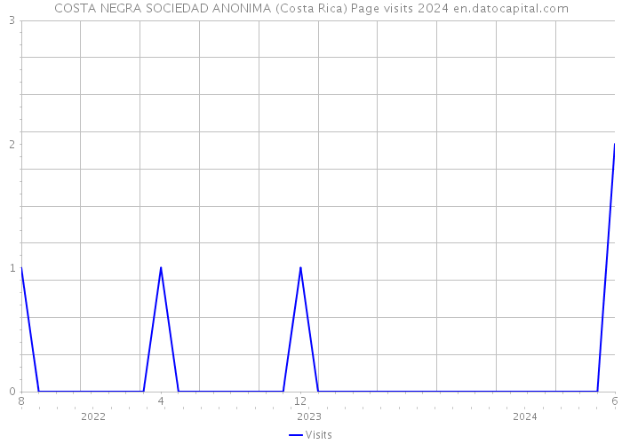 COSTA NEGRA SOCIEDAD ANONIMA (Costa Rica) Page visits 2024 