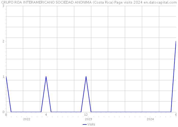 GRUPO ROA INTERAMERICANO SOCIEDAD ANONIMA (Costa Rica) Page visits 2024 