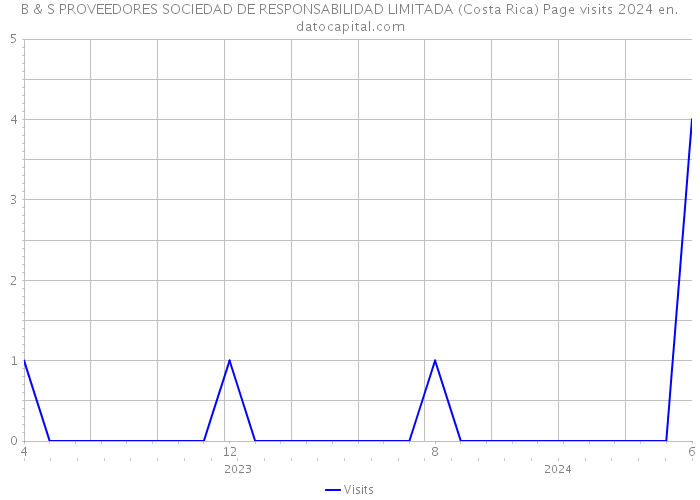 B & S PROVEEDORES SOCIEDAD DE RESPONSABILIDAD LIMITADA (Costa Rica) Page visits 2024 