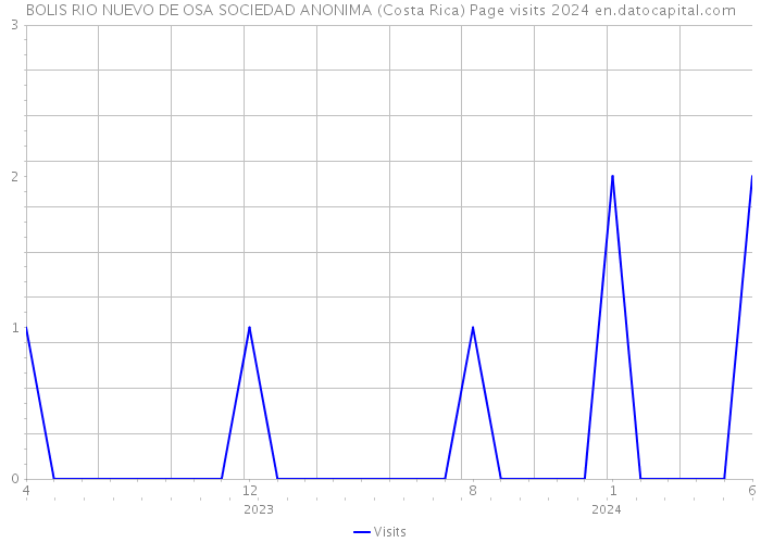 BOLIS RIO NUEVO DE OSA SOCIEDAD ANONIMA (Costa Rica) Page visits 2024 